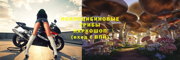 скорость mdpv Белокуриха