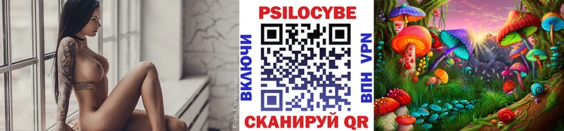 Псилоцибиновые грибы Psilocybe  блэк спрут зеркало  shop состав  Волчанск 